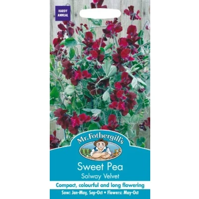 Image of Mr Fothergill?s Seeds Ltd 18288 Flower Seeds, Sweet Pea Solway Velvet