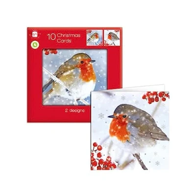 Image of Giftmaker Pack 10 Square Christmas Cards Family Friends 2 Designs Robins
