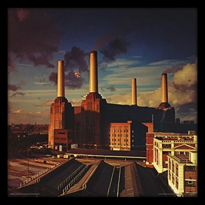 Image of Pink Floyd Animals 12&quot; Album Cover Framed Print, MDF, Multi Colour, 32 x 1.5 cm