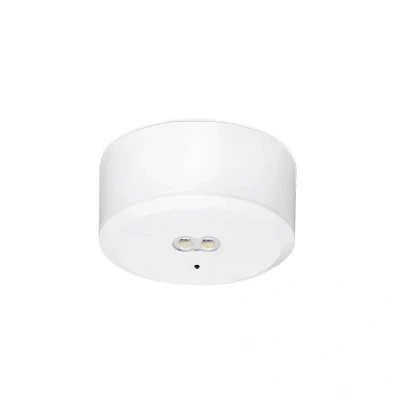 Image of Self Test Surface/Recessed Emergency LED Downlight 3W Aurora