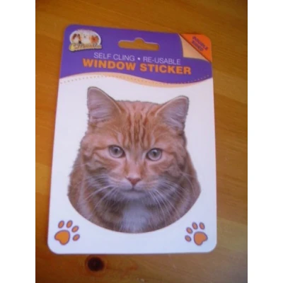 Image of Ginger Cat double sided window sticker car home re usable
