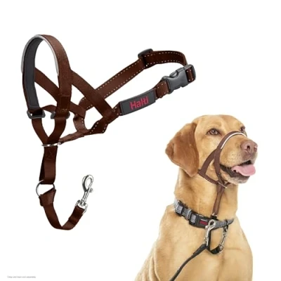 Image of HALTI Headcollar To Stop Your Dog Pulling on the Lead. Adjustable, Reflective and Lightweight, with Padded Nose Band. Training Anti Pull Collar for Medium Dogs (Size 3, Deep Walnut)