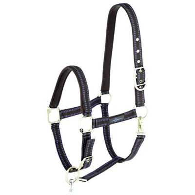 Image of Kerbl GoLeyGo 2.0 Halter for Horses Click Magnetic Closure incl Adapter Pin, Blue/Caramel, Single Item
