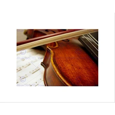 Image of Wee Blue Coo MUSIC PHOTO VIOLIN BOW SHEET STRINGS CLASSICAL FRAMED ART PRINT MOUNT B12X11492