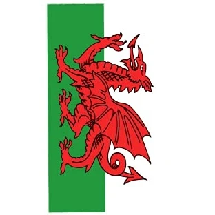 Image of Wales Welsh Cymru Flag Decal Sticker Car Bike (Dragon Large Oblong)