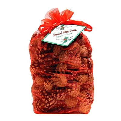 Image of Milford Collection Scented Pine Cones Winter Spice 2 x Bags 500g