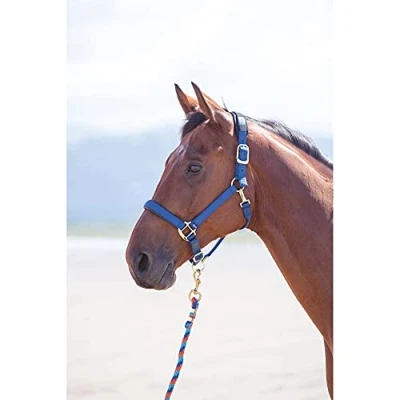 Image of Shires Topaz Nylon Pony/Horse Headcollar Navy Blue XXS Pony