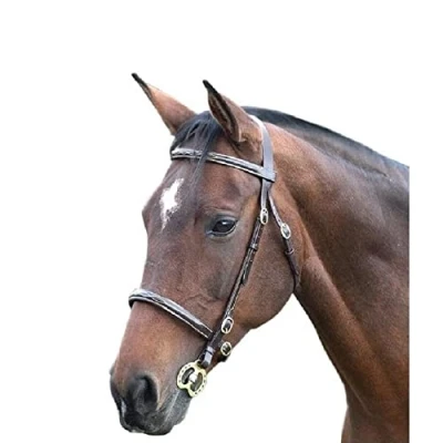 Image of Shires Blenheim Fancy Stitched Inhand Bridle Havana Pony
