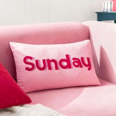 Image of furn. Sunday Embroidered Feather Rich Cushion Pink Cotton Size 30 cm x 50