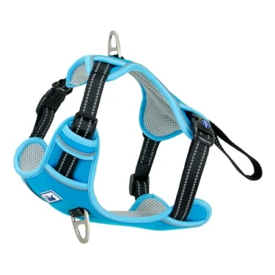 Image of Ancol Viva Exercise and Travel Dog Harness in Blue Comfortable Pet Accessory with Padded Chest 2 Leash Clips Medium 45 65cm