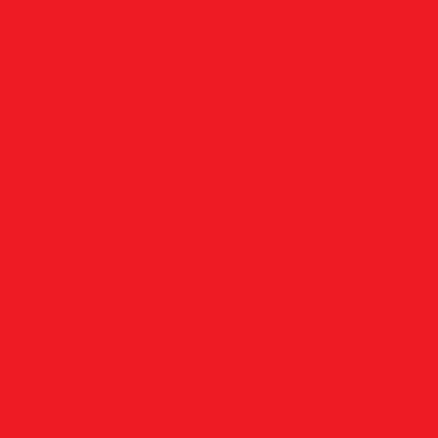 Image of 240 x Sheets (1/2 Ream) 20&quot; 30&quot;Acid Free Coloured Tissue Paper Scarlet Red