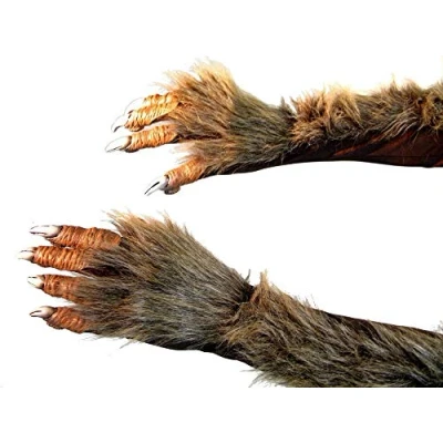 Image of shoperama Long Werewolf Gloves with Claws and Fur Claw Hand Demon Monster Costume Accessory
