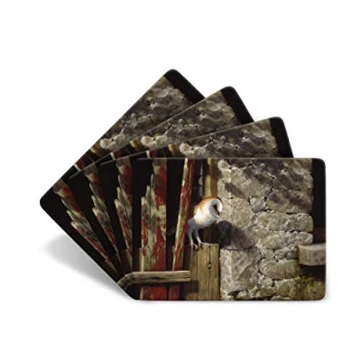 Image of Julian Friers Barn Owl in Doorway Large Table Mats by Wildlife Artist Set of 4 Non slip Cork backed Placemat