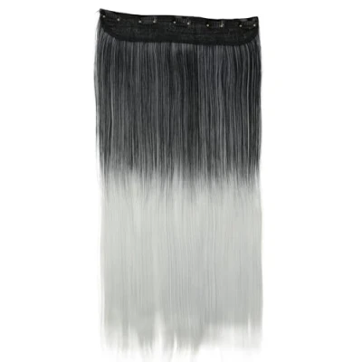 Image of CAISHA 24&quot; Clip In Hair Extensions One Piece Full Head Hairpiece Straight Ombré Gray Mix C73