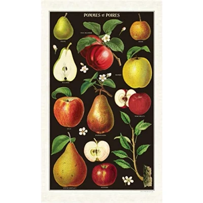 Image of Cavallini Papers &amp; Co. Apples Pears Tea Towel, Multi