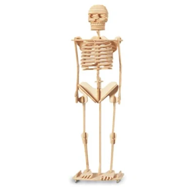 Image of Quay Skeleton Woodcraft Construction Kit FSC