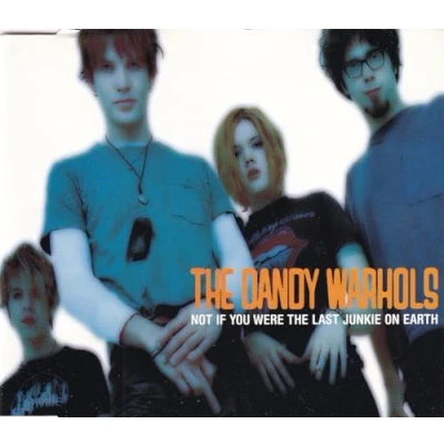 Image of The Dandy Warhols Not If You Were Last Junkie On Earth CD 2 1998 UK single CDCLS800