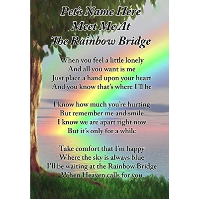 Image of Lisa&#039;s Gifts Personalised Meet Me at The Rainbow Bridge Dog Cat Pet Memorial Graveside Funeral Poem Keepsake Card Includes Free Ground Stake F397