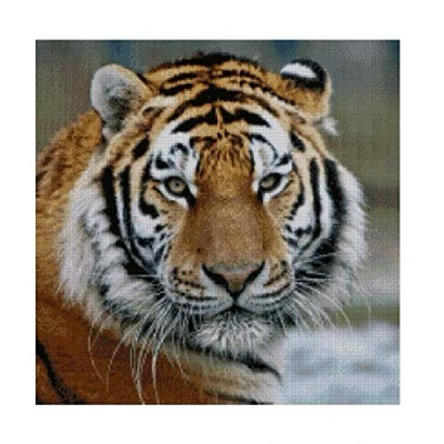 Image of The Tiger, 14ct Counted Cross Stitch kit Embroidery Kits, 200x200stitch,46x46cm Egyptian Cotton Kits Tiger