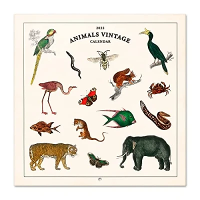 Image of Grupo Erik: Official Vintage 2022 Animals Wall Calendar, 12&#039; x Square Family Calendar