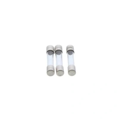 Image of Regin Large Quick Blow Fuse 32mm 2A REGQ154