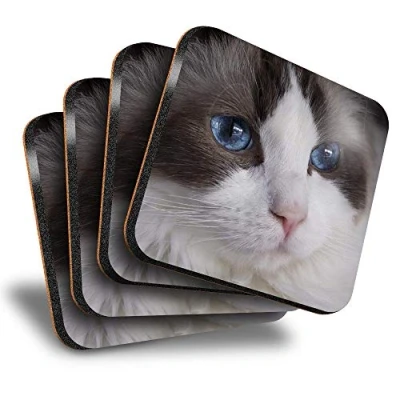 Image of Destination Vinyl ltd Great Coasters (Set of 4) Square Pretty Ragdoll Cat Blue Eyes Drink Glossy Coasters/Tabletop Protection for Any Table Type #3595