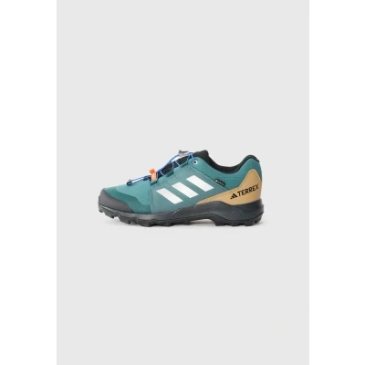 Image of adidas Terrex Gore TEX Hiking Shoes Kids, preloved Teal/Silver met./semi Lucid Blue, 13 UK Child