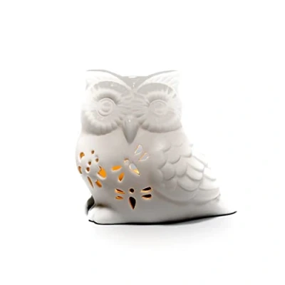 Image of JJA Wax Melt Burner, 10cm Ceramic Owl Oil Essential Oils and Melts Tea Light Diffuser, Perfect for Indoors to Fragrance the Home Witchcraft, Scented Diffuser Decorative (White)