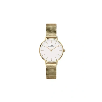 Image of Daniel Wellington Ladies Petite Evergold Watch DW00100350