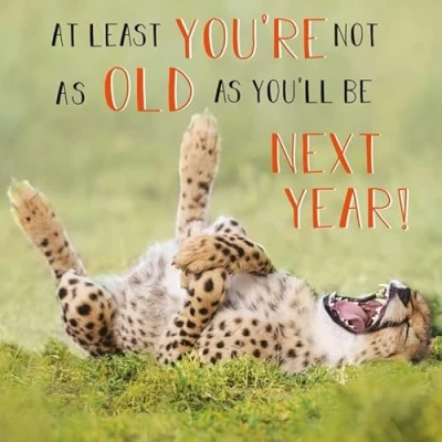 Image of Abacus Cards LAUGHING CHEETAH Funny Birthday Card Rapture Range, multi