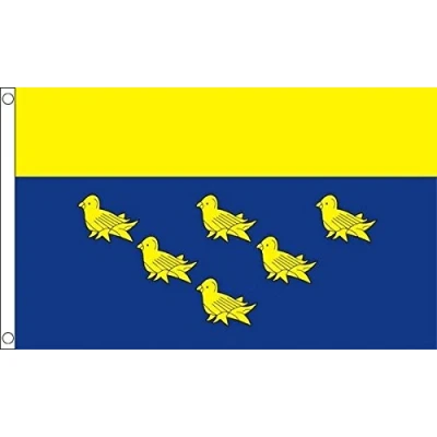 Image of West Sussex Flag 5ft x 3ft
