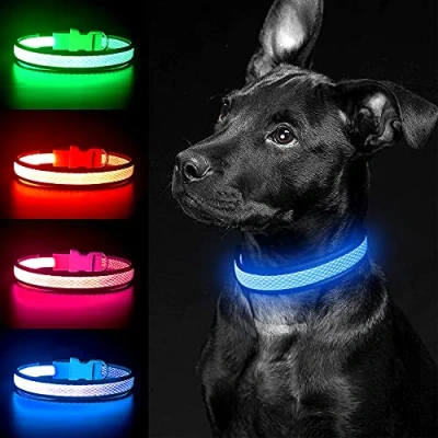 Image of YFbrite Light up Dog Collar, Rechargeable LED Flashing Adjustable Reflective Collar Safety Glowing at night (Blue, Large)