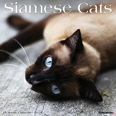 Image of Siamese Cats 2024 12 X Wall Calendar