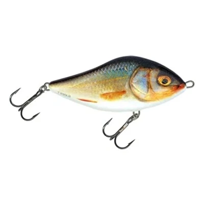 Image of Salmo Slider Floating Real Roach 10cm Jerkbait