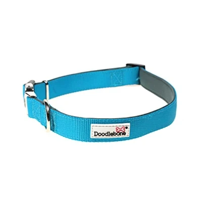 Image of Doodlebone Padded Collar, Aqua, 6 11