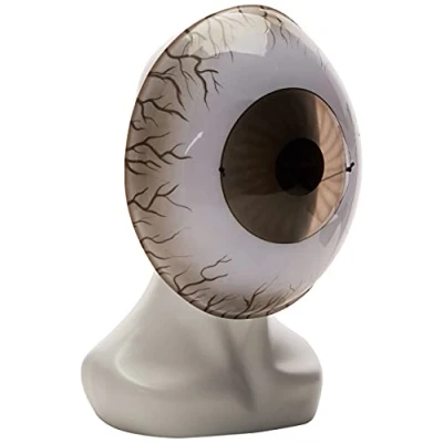 Image of Disguise Giant Eyeball Mask Costume Accessory, White/Black, One Size Adult