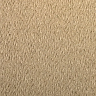 Image of Clairefontaine Ref 90866C Etival Coloured Grained Drawing Paper (Pack of 5 Sheets) A4 (29.7 x 21cm) 160gsm Cellulose Art Camel Acid Free, pH Neutral