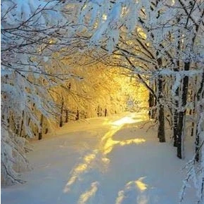 Image of Pack of 10 Charity Christmas Cards (PH CHPT0048) Morning Sunrise Photographic from Paper House