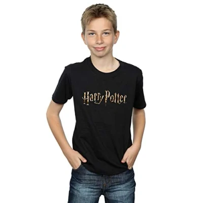 Image of Harry Potter Boys Full Colour Logo T Shirt Black 5 6 Years