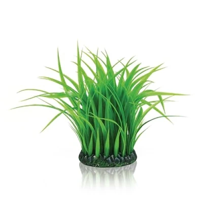 Image of biOrb Grass Ring M green