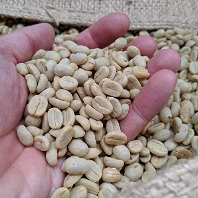 Image of Rounton Coffee Roasters 1kg Green Beans El Salvador Finca Bosque Lya Central American Raw Unroasted for home Roasting