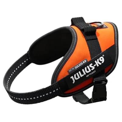 Image of Julius K9, 16IDC FOR M, IDC Powerharness, dog harness, Size: Mini, UV Orange