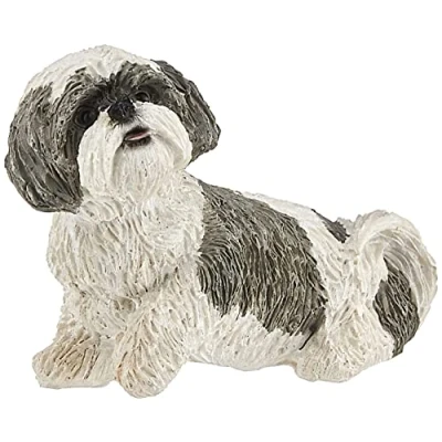 Image of Sandicast Mid Size Silver and White Shih Tzu Sculpture, Sitting (MS16405)