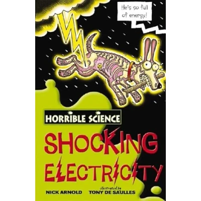 Image of Shocking Electricity (Horrible Science)