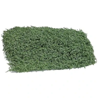 Image of Busch 3598 shrub summer 35 mm