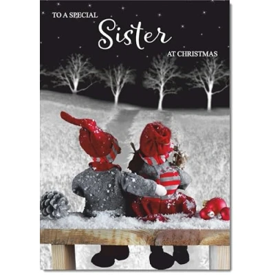 Image of doodlecards Sister Christmas Card Couple at Night Large A4 Size for with Plain Envelope