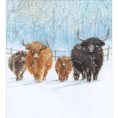 Image of Charity Christmas Cards Supporting Age UK, British Heart Foundation, Marie Curie and Mind Pack of 5 Highland Cows Winter Welcome Made in the UK Eco Friendly