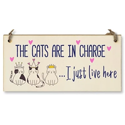 Image of The Plum Penguin Handmade Wooden Hanging Wall Plaque Cats in Charge I Just Live Here Funny Gift Pet Lover Cat Mum Dad
