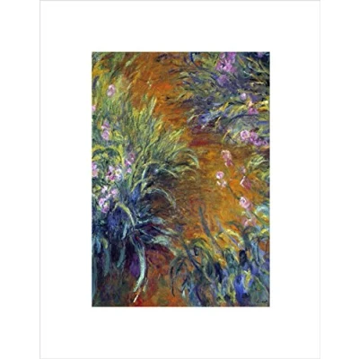 Image of Wee Blue Coo Claude Monet Irises Old Master Art Picture Wall Print