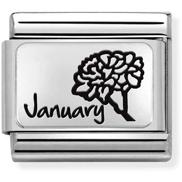 Image of Nomination January Birth Flower Charm